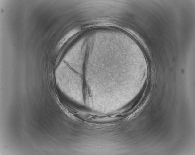 X0000085741289200704131635