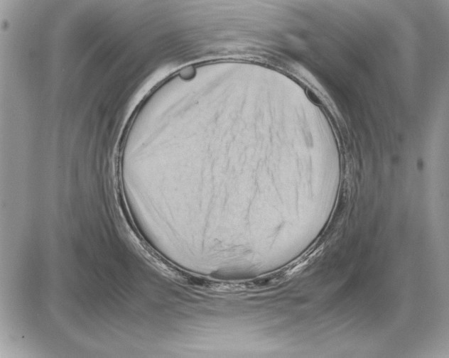 X0000085741291200704131635