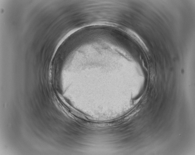 X0000085741292200704131635