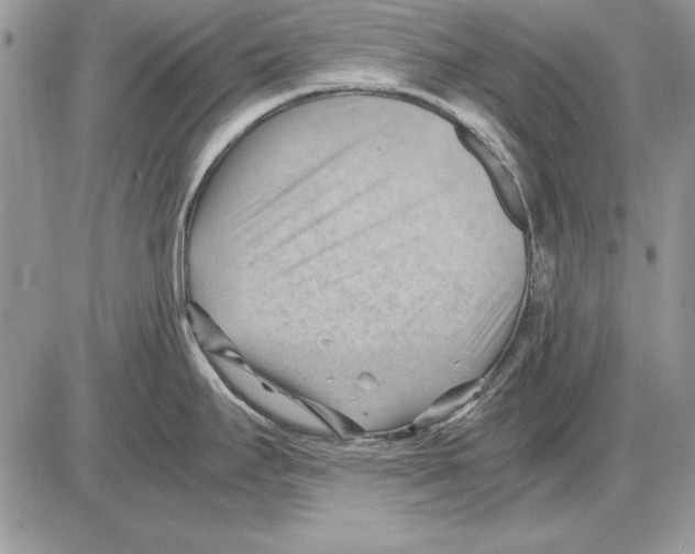 X0000085741295200704131635