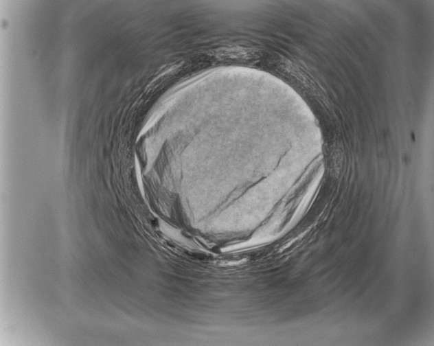 X0000085741297200704131634