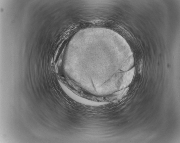 X0000085741298200704131634