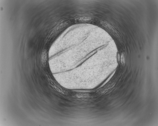 X0000085741299200704131634