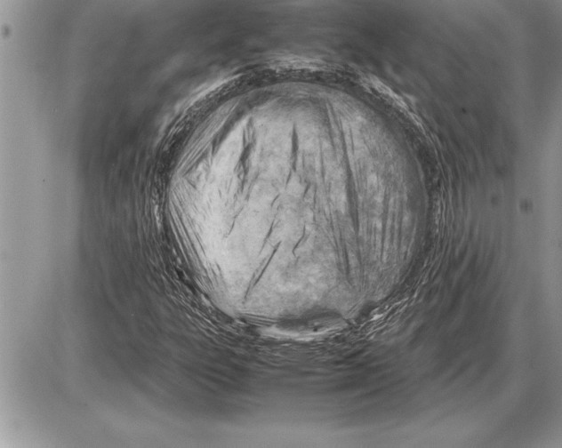 X0000085741303200704131634