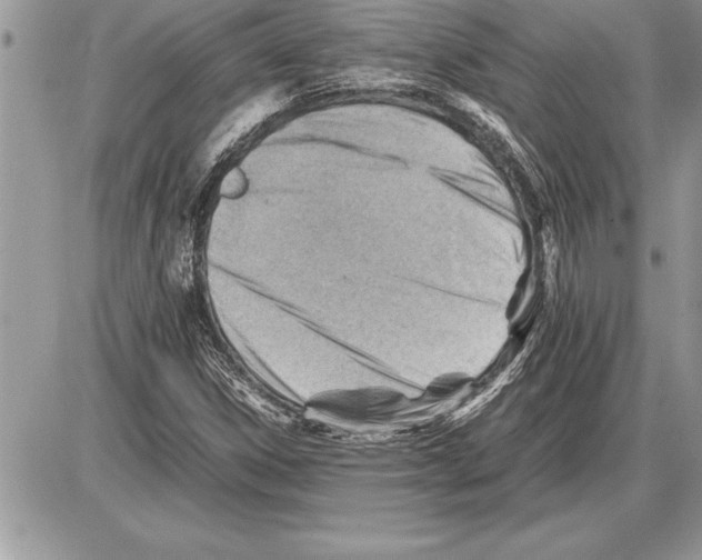 X0000085741306200704131634