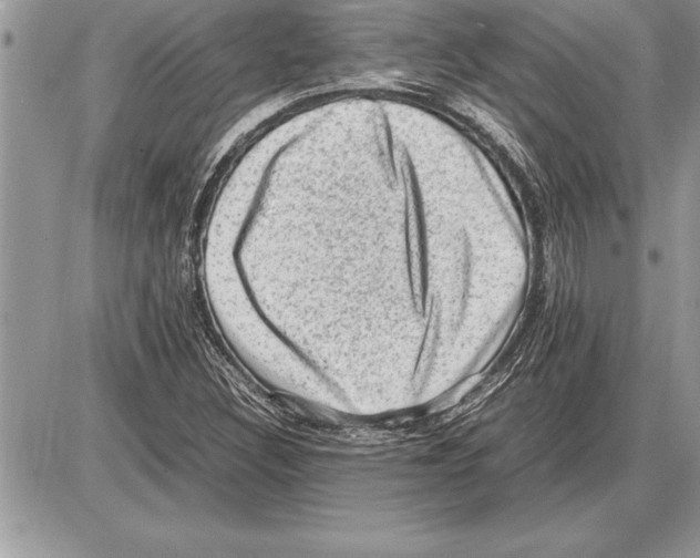 X0000085741308200704131634