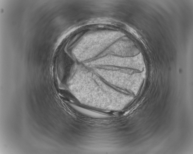 X0000085741312200704131635