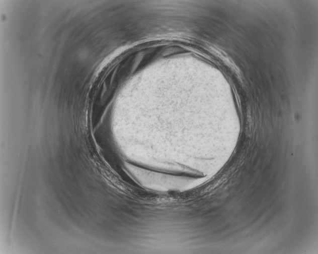 X0000085741316200704131635