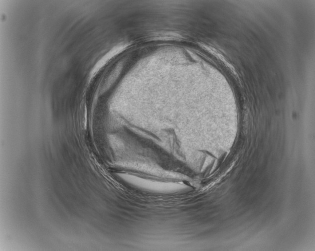 X0000085741317200704131635
