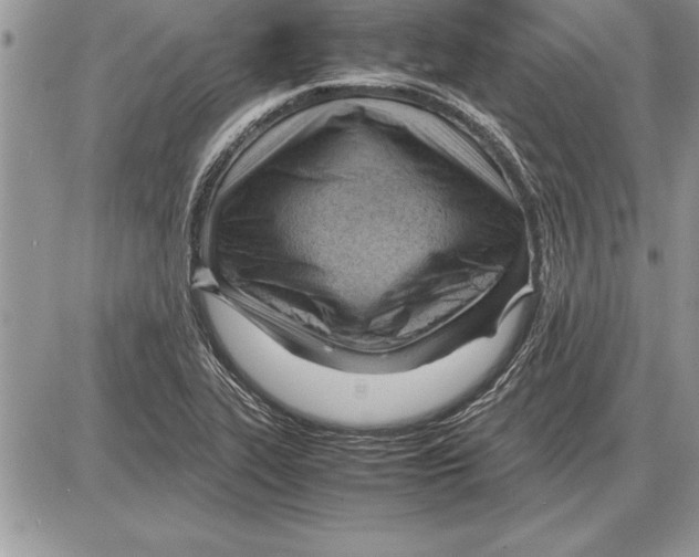 X0000085741319200704131635