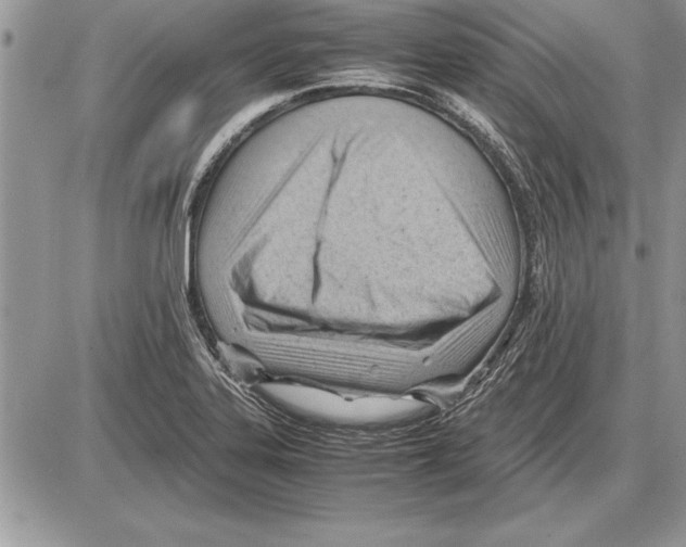 X0000085741323200704131635