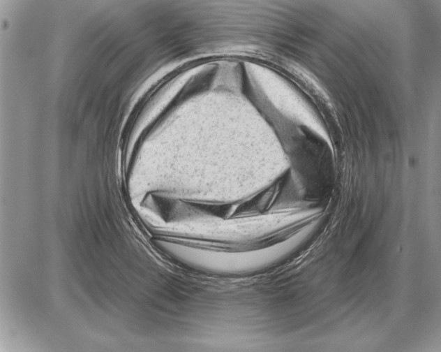 X0000085741324200704131635