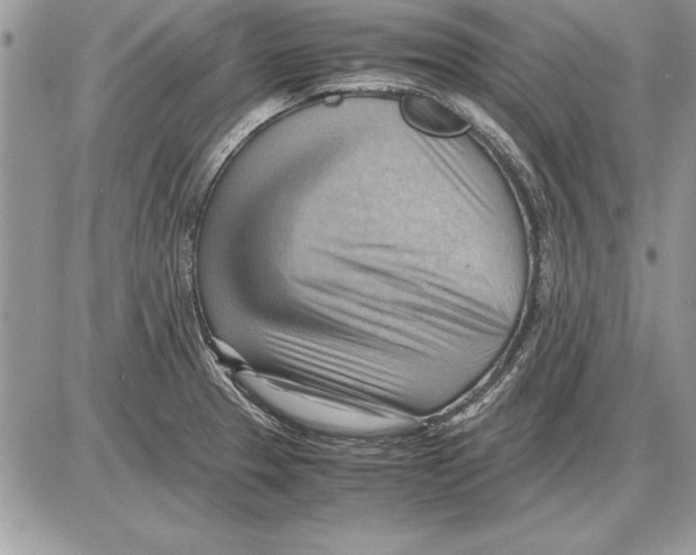 X0000085741329200704131635
