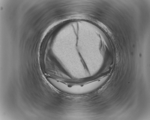 X0000085741334200704131635