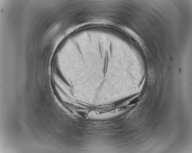 X0000085741335200704131635