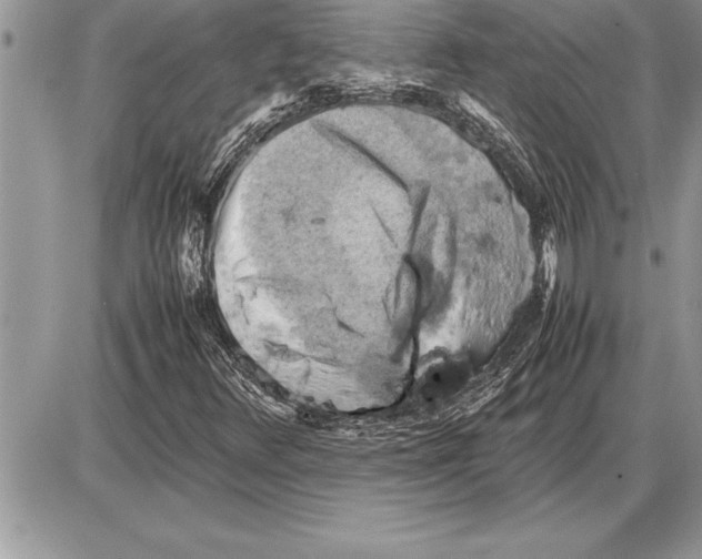 X0000085741348200704131634