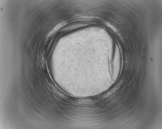 X0000085741354200704131634