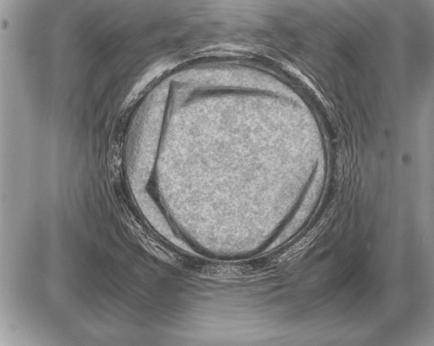 X0000085741355200704131634