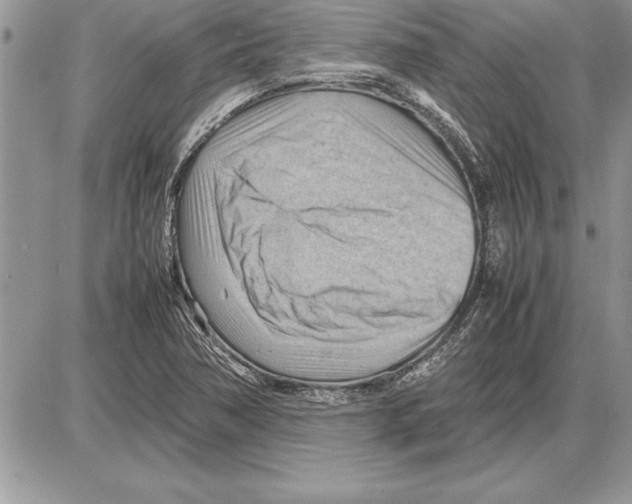 X0000085741362200704131634