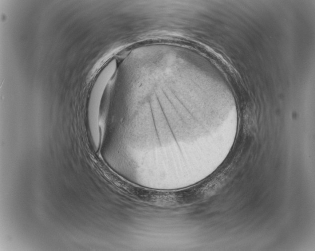 X0000085741363200704131634