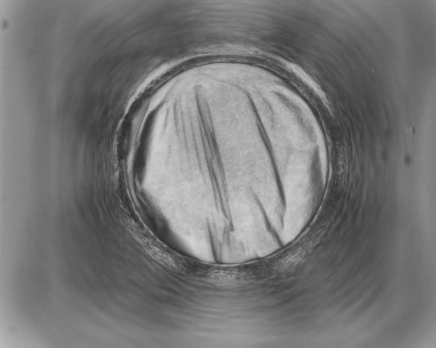 X0000085741364200704131634