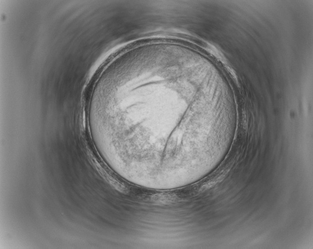 X0000085741368200704131634