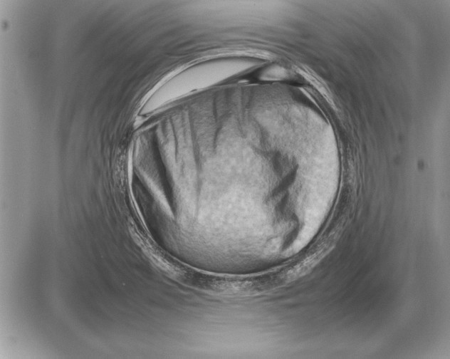 X0000085741369200704131634