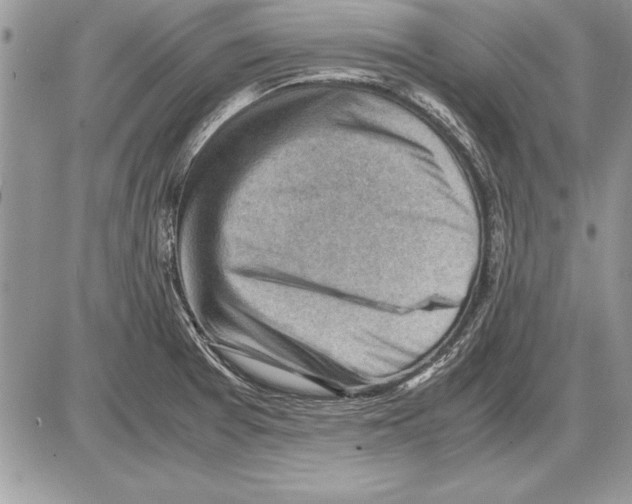 X0000085741377200704131634