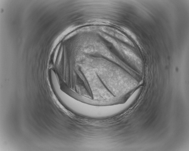 X0000085741379200704131634