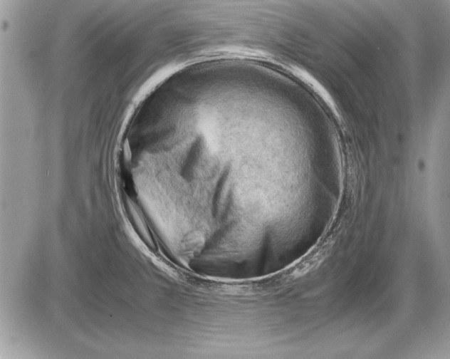 X0000085741381200704131634