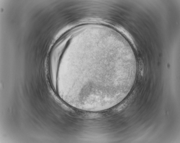 X0000085741382200704131634
