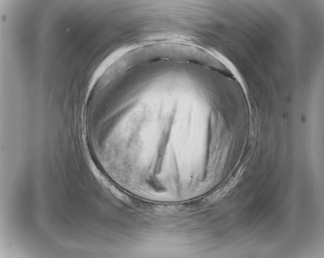 X0000085741389200704131633