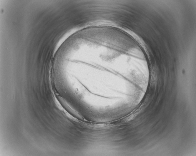 X0000085741390200704131633