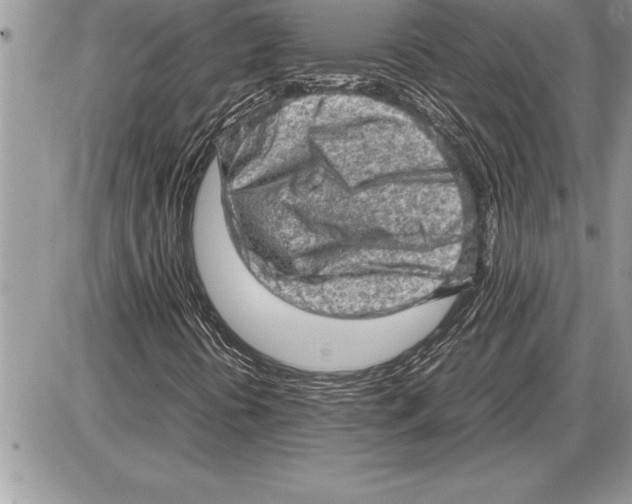 X0000085741394200704131633