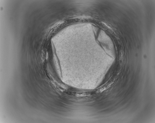X0000085741398200704131633
