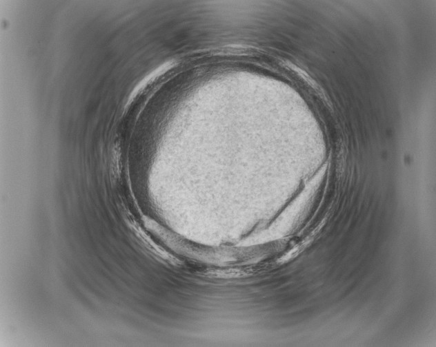 X0000085741402200704131633
