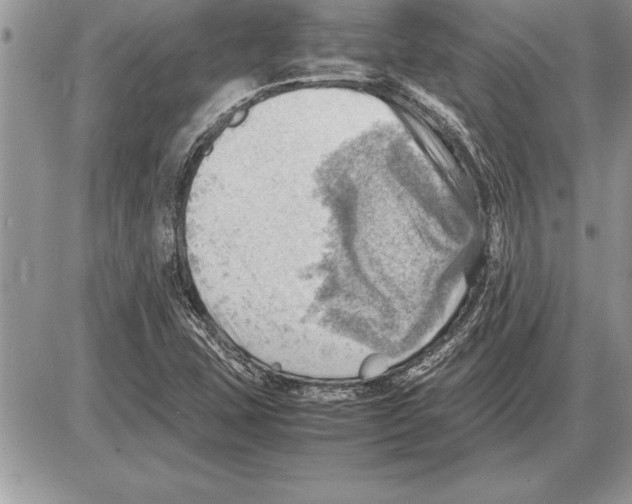 X0000085741407200704131633