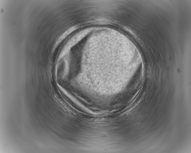 X0000085741410200704131633