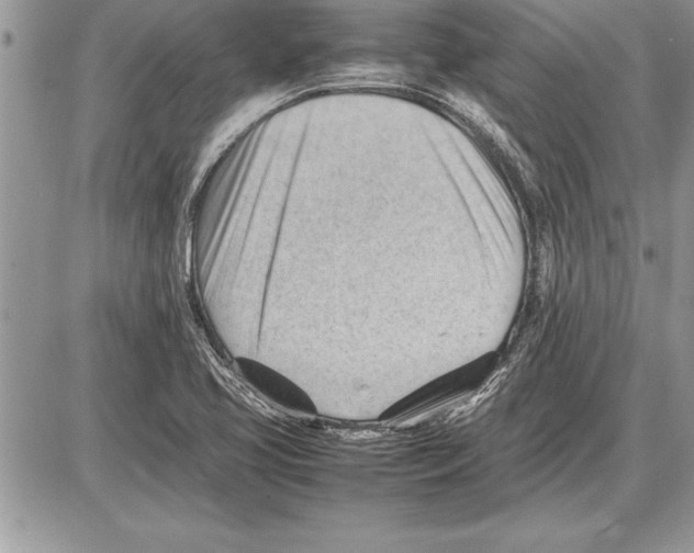 X0000085741413200704131633