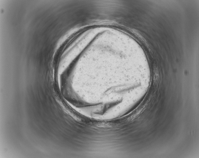 X0000085741414200704131633