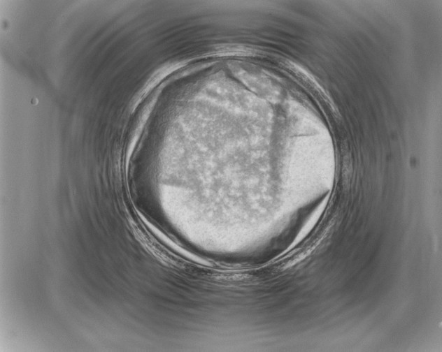 X0000085741417200704131633