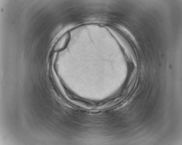 X0000085741419200704131633