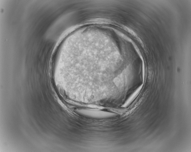 X0000085741421200704131633