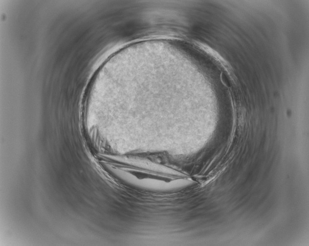 X0000085741423200704131633