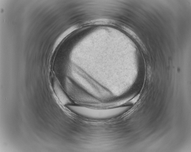 X0000085741426200704131633