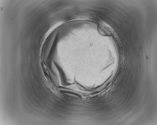 X0000085741427200704131633