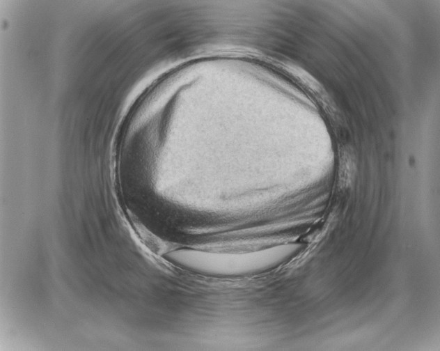 X0000085741430200704131633