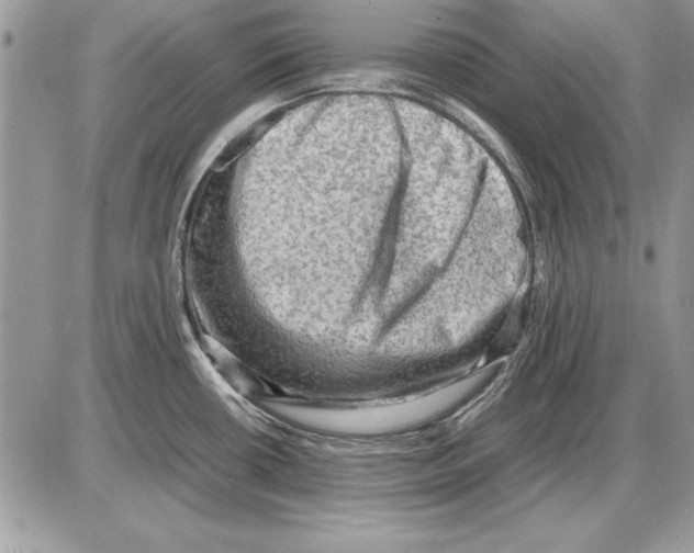 X0000085741434200704131633