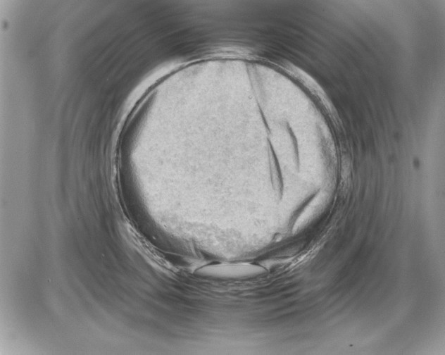 X0000085741435200704131633