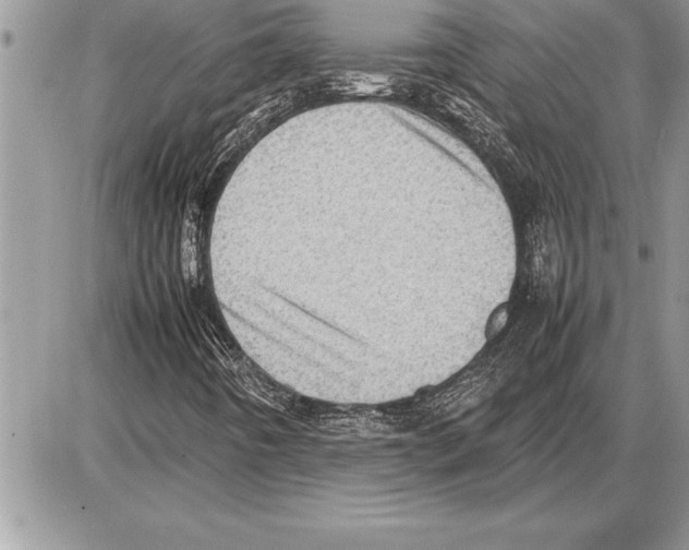 X0000085741442200704131633